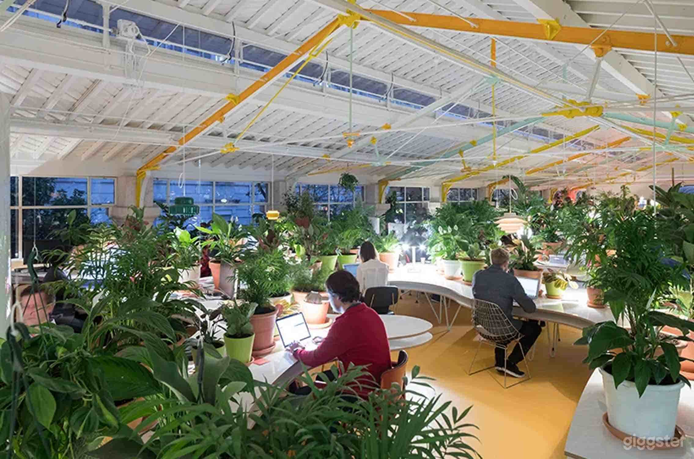 Sunny Lounge in Lisboa Photo 4