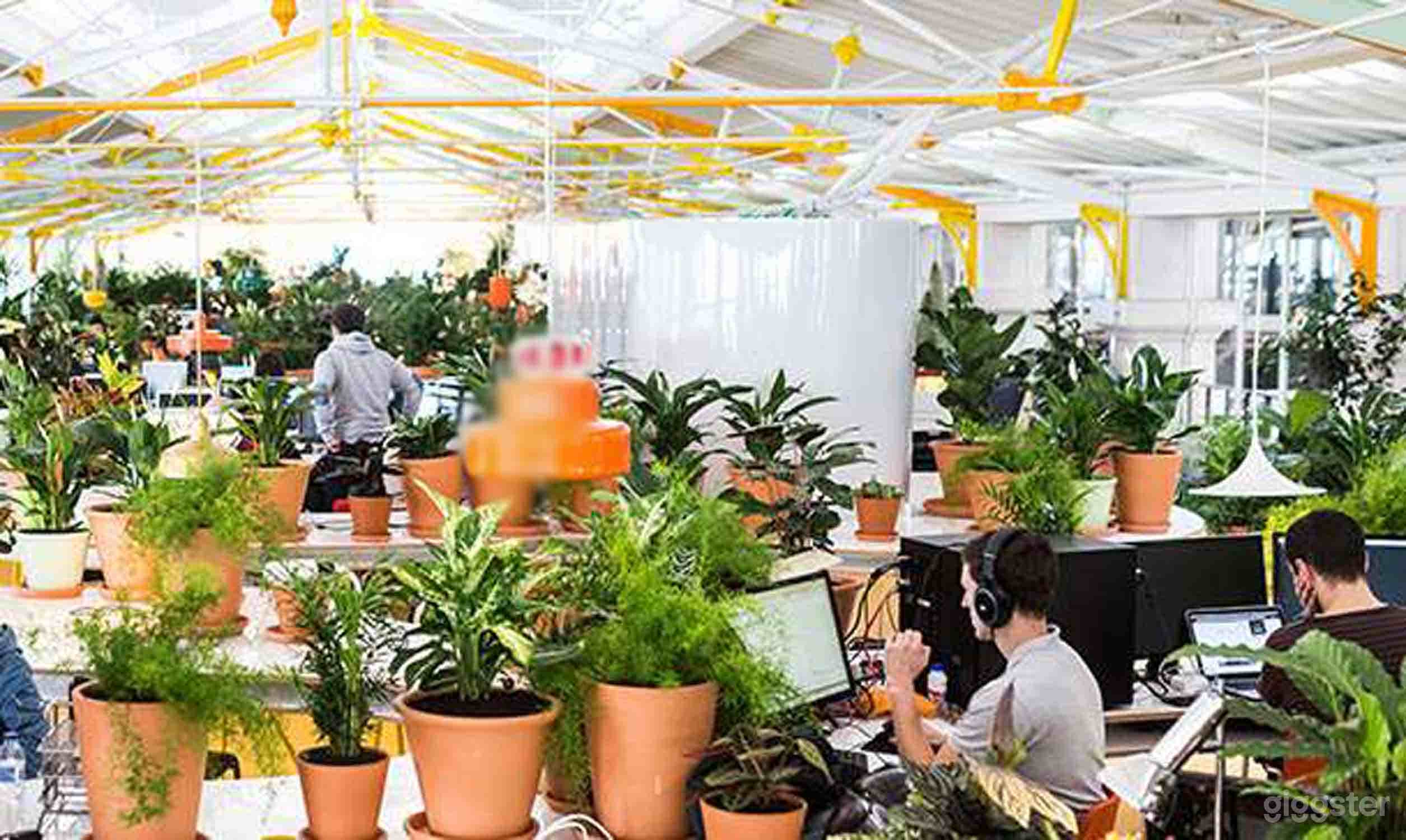 Sunny Lounge in Lisboa Photo 2