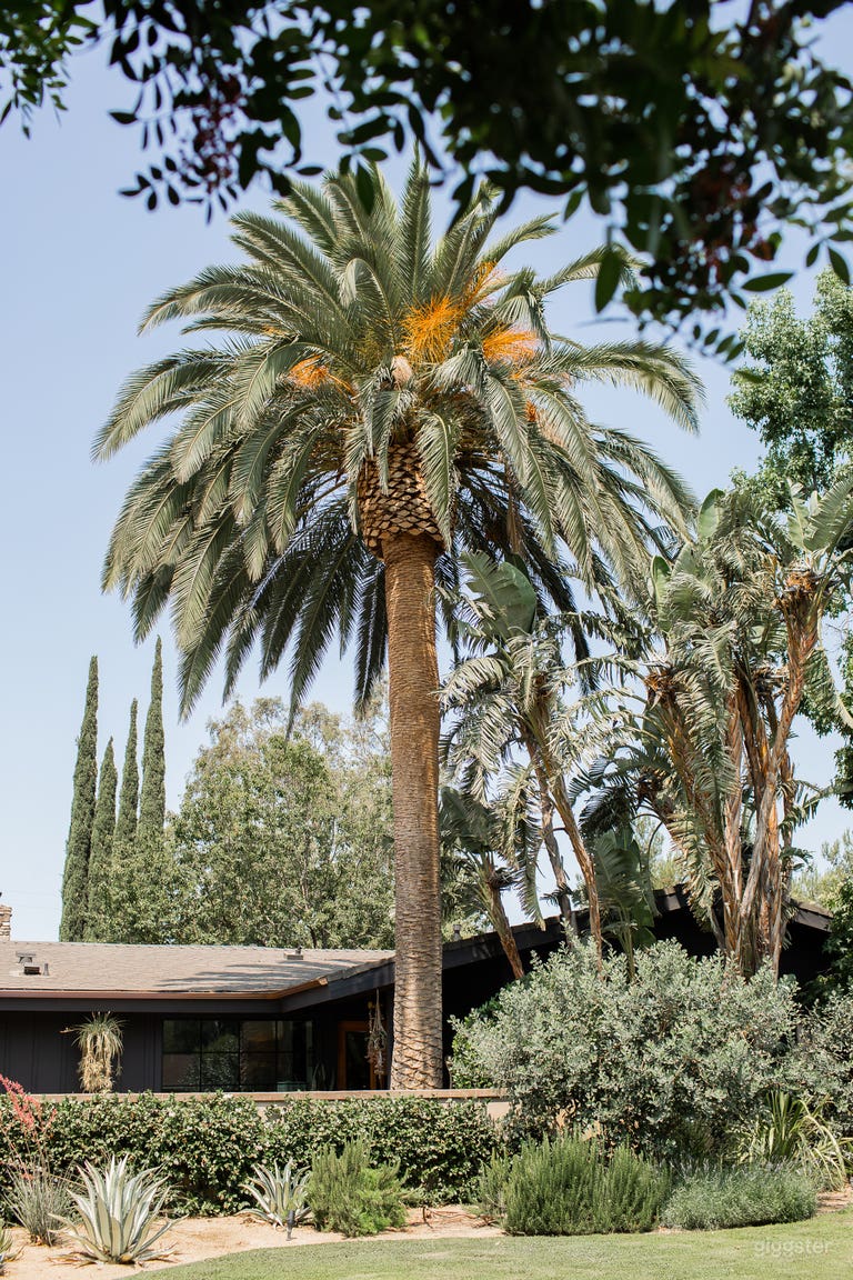  Stylish Ranch Home on Large Lot 