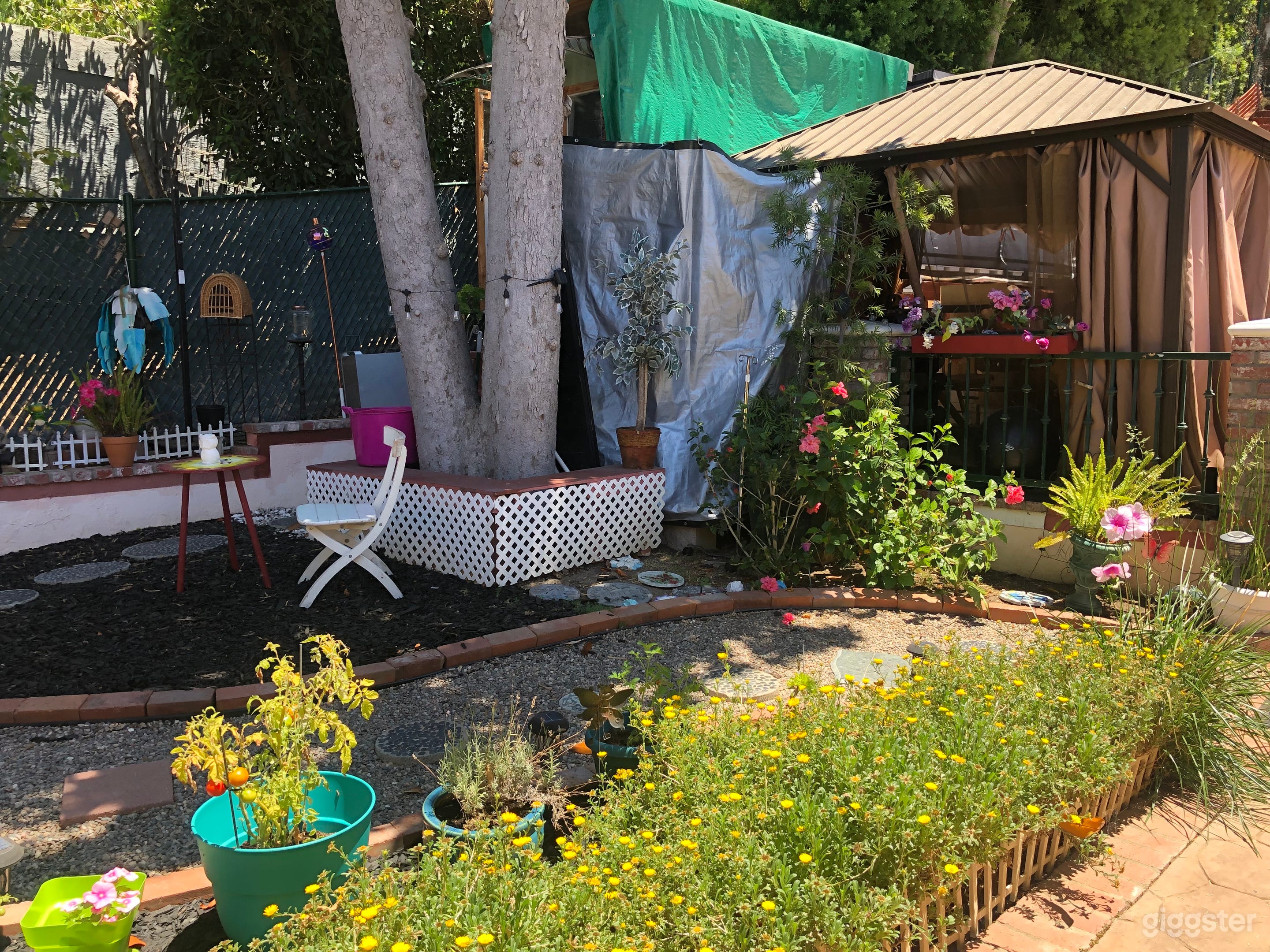 Tropical Hollywood Hills Oasis Photo 2