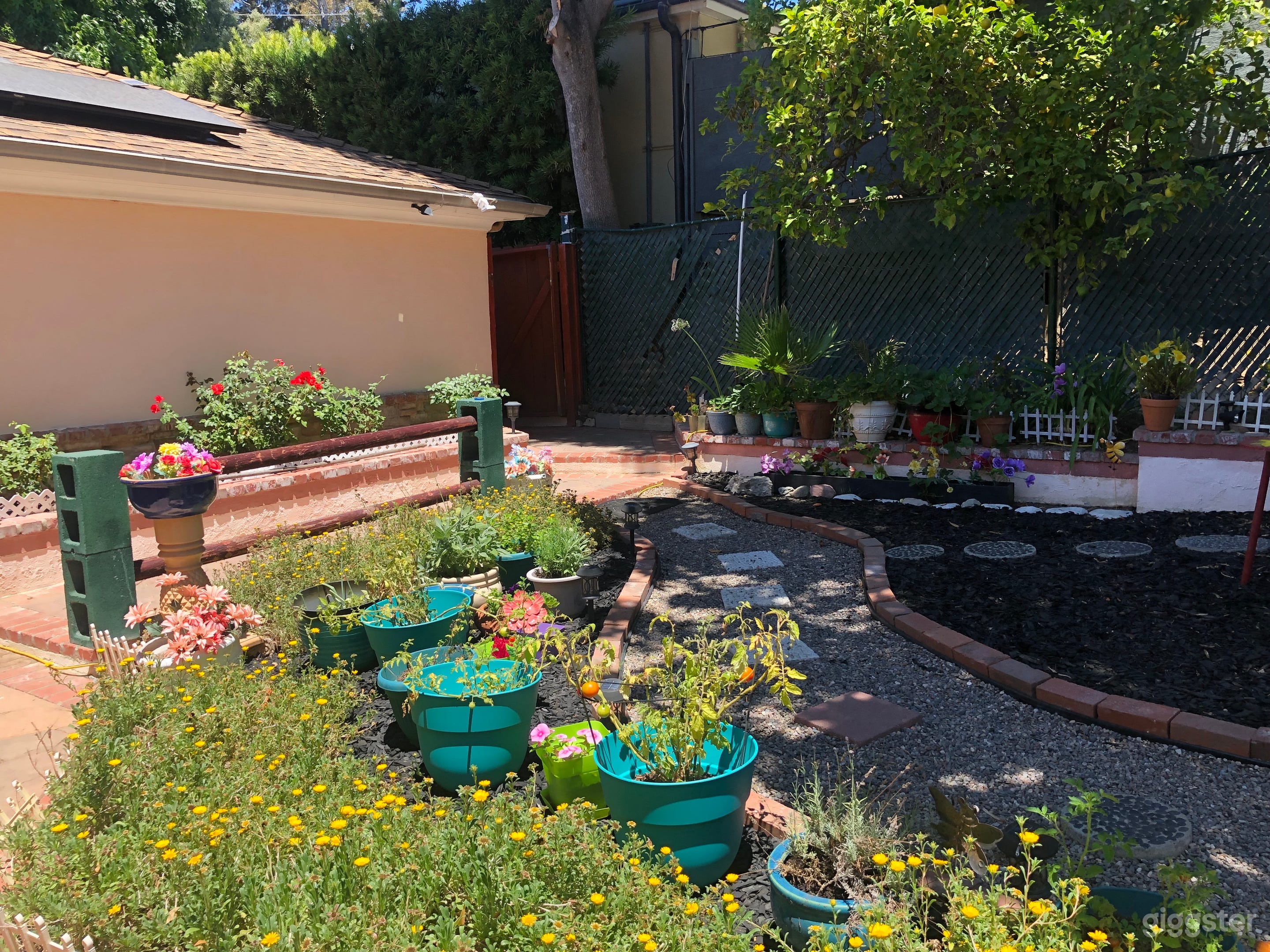 Tropical Hollywood Hills Oasis Photo 1