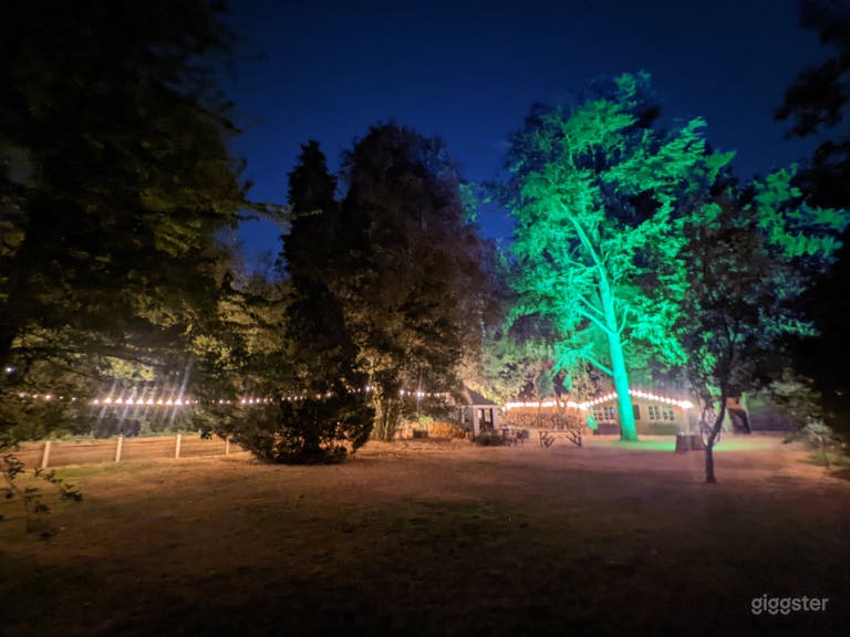  Full uplights and garden surround lights 