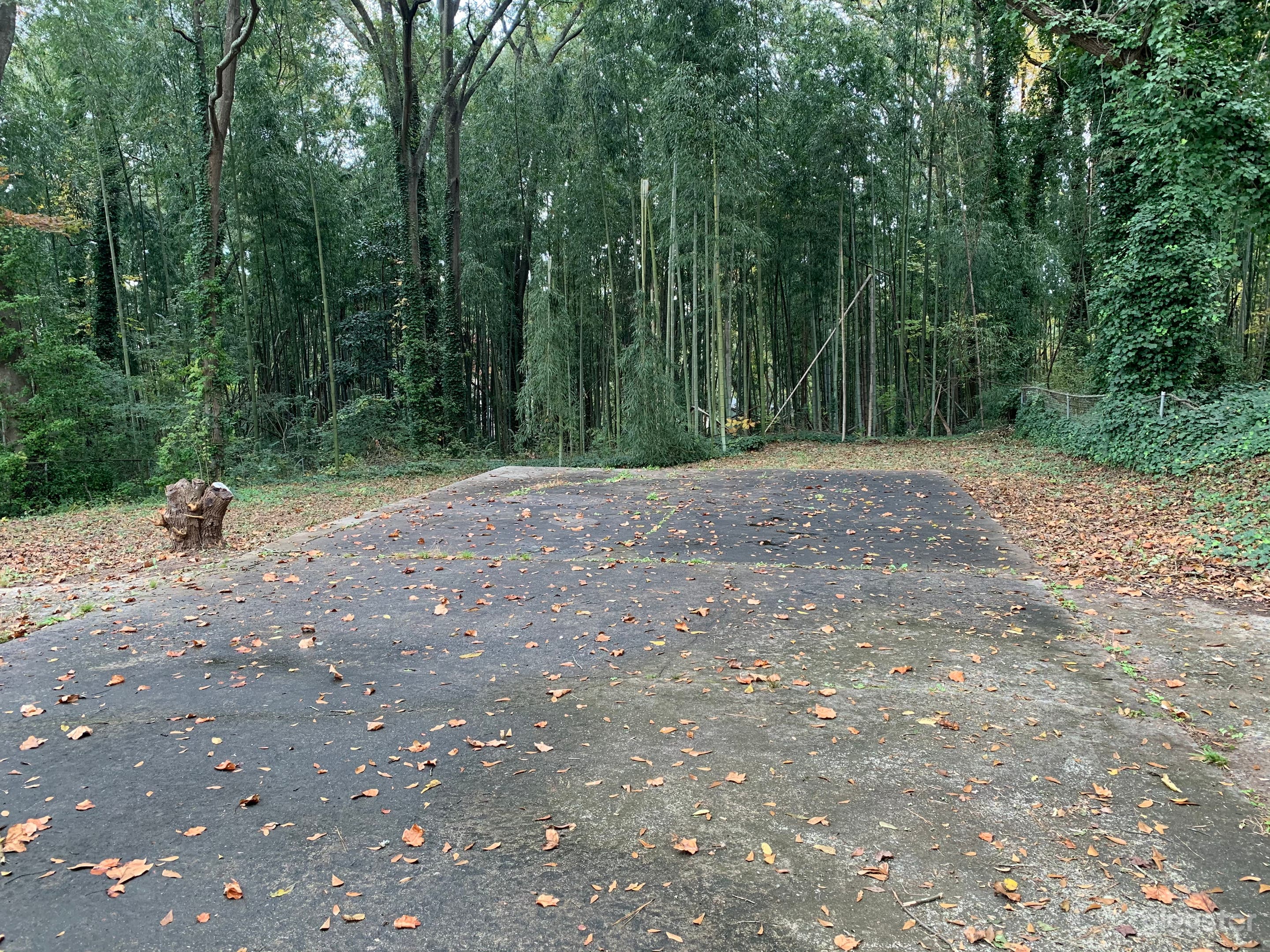 Bright &amp; Modern Home Located In The Heart of ATL Photo 3