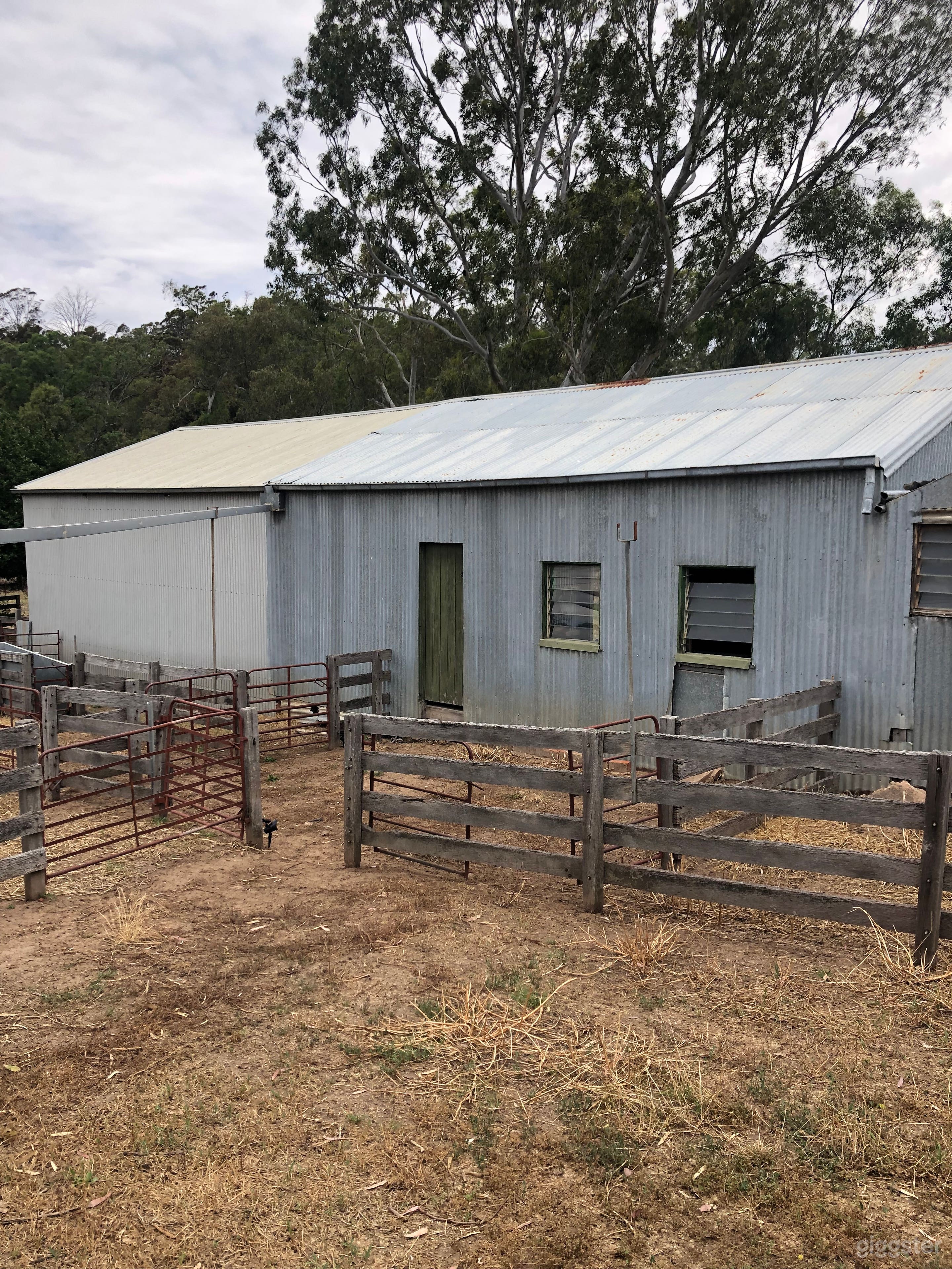 Shearing shed