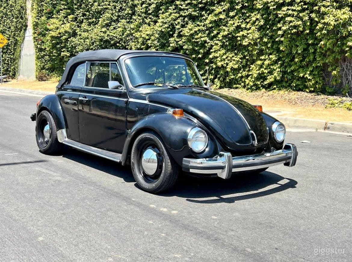 Betty the Supper Beetle Photo 2