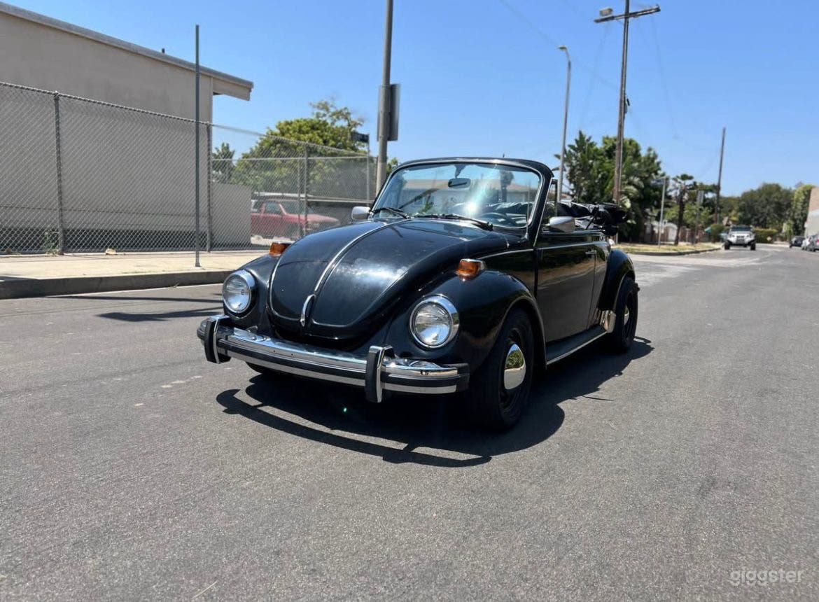 Betty the Supper Beetle Photo 4