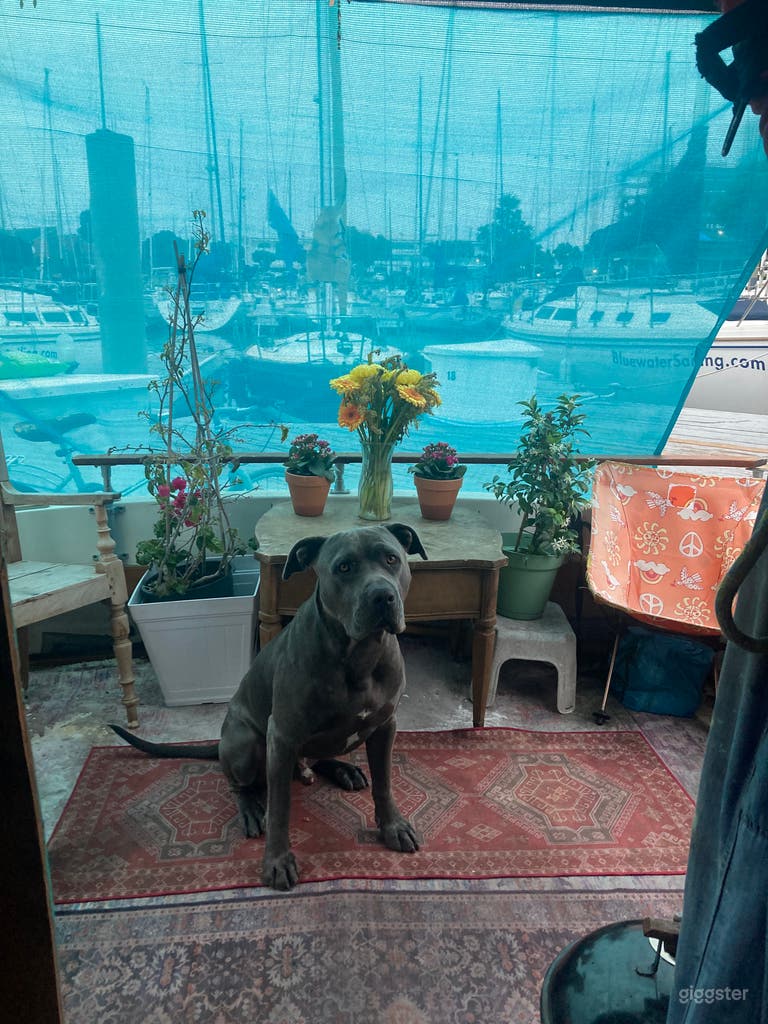  Magical House Boat with Waterfront Views 