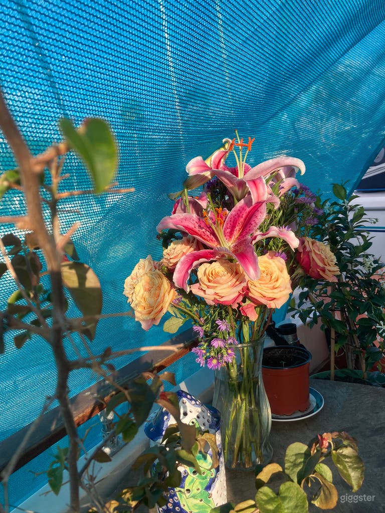  Magical House Boat with Waterfront Views 