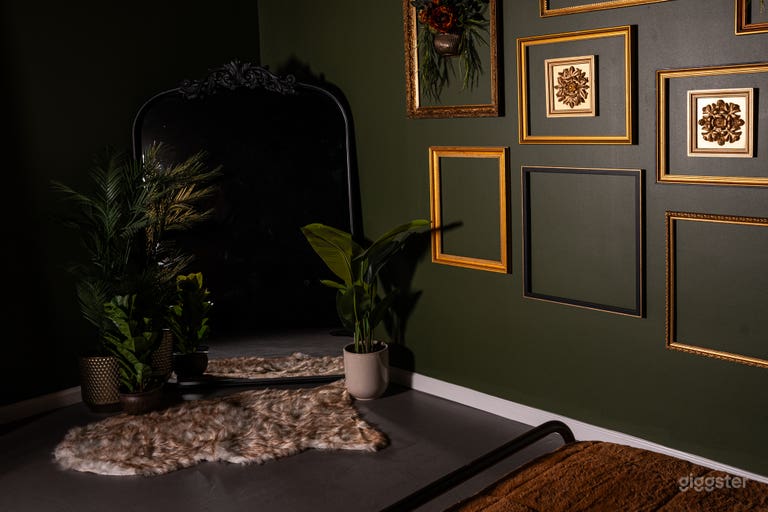  Vintage, Dark, Edgy Photo/Video Studio 