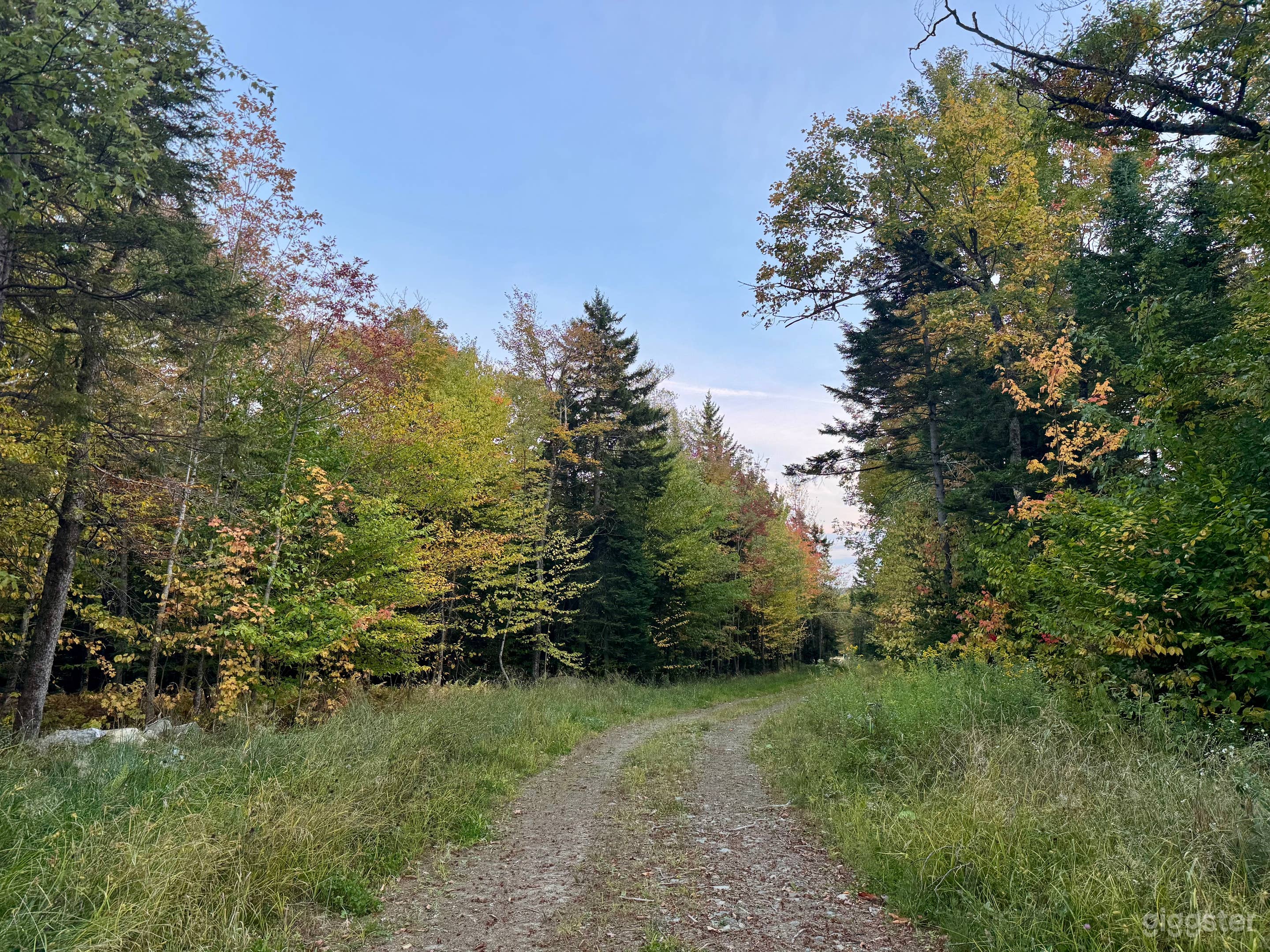 550 acres in Northern Vermont Photo 2