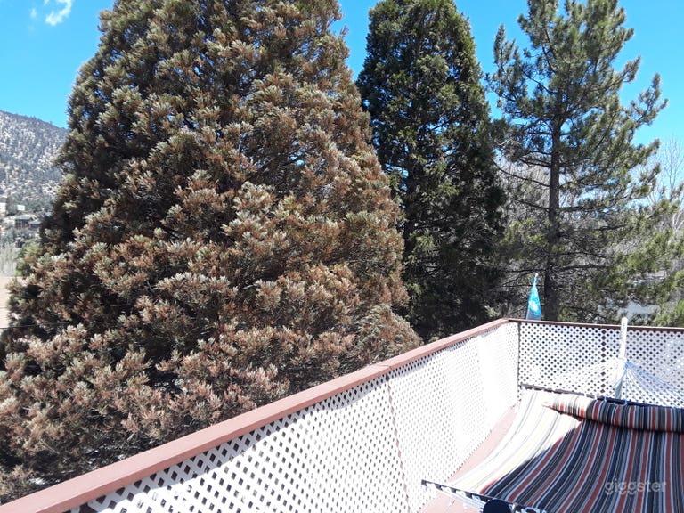  Mile high natural light Americana, open floor plan 