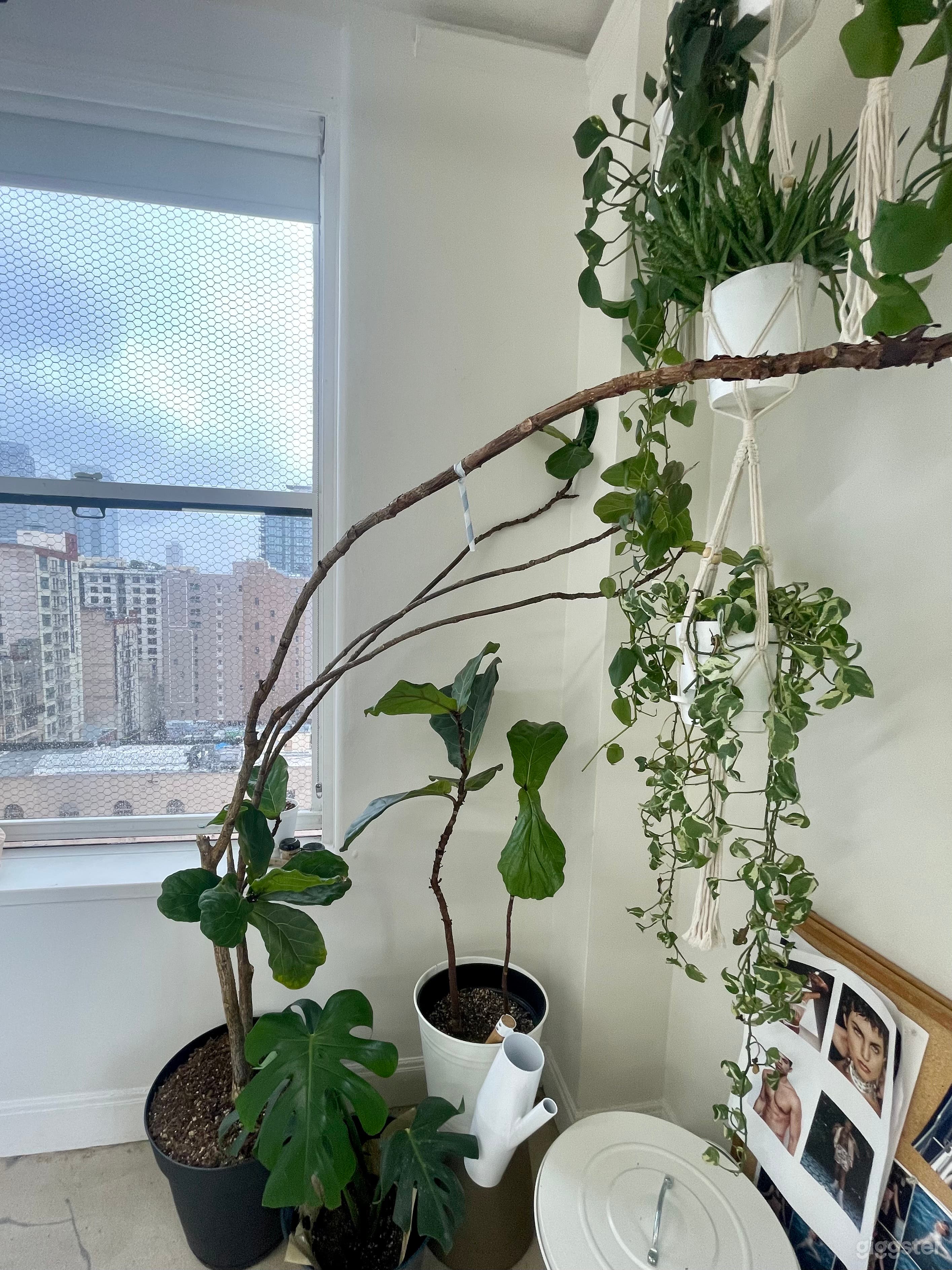  Natural Light Photo Space w/ stunning views Photo 3