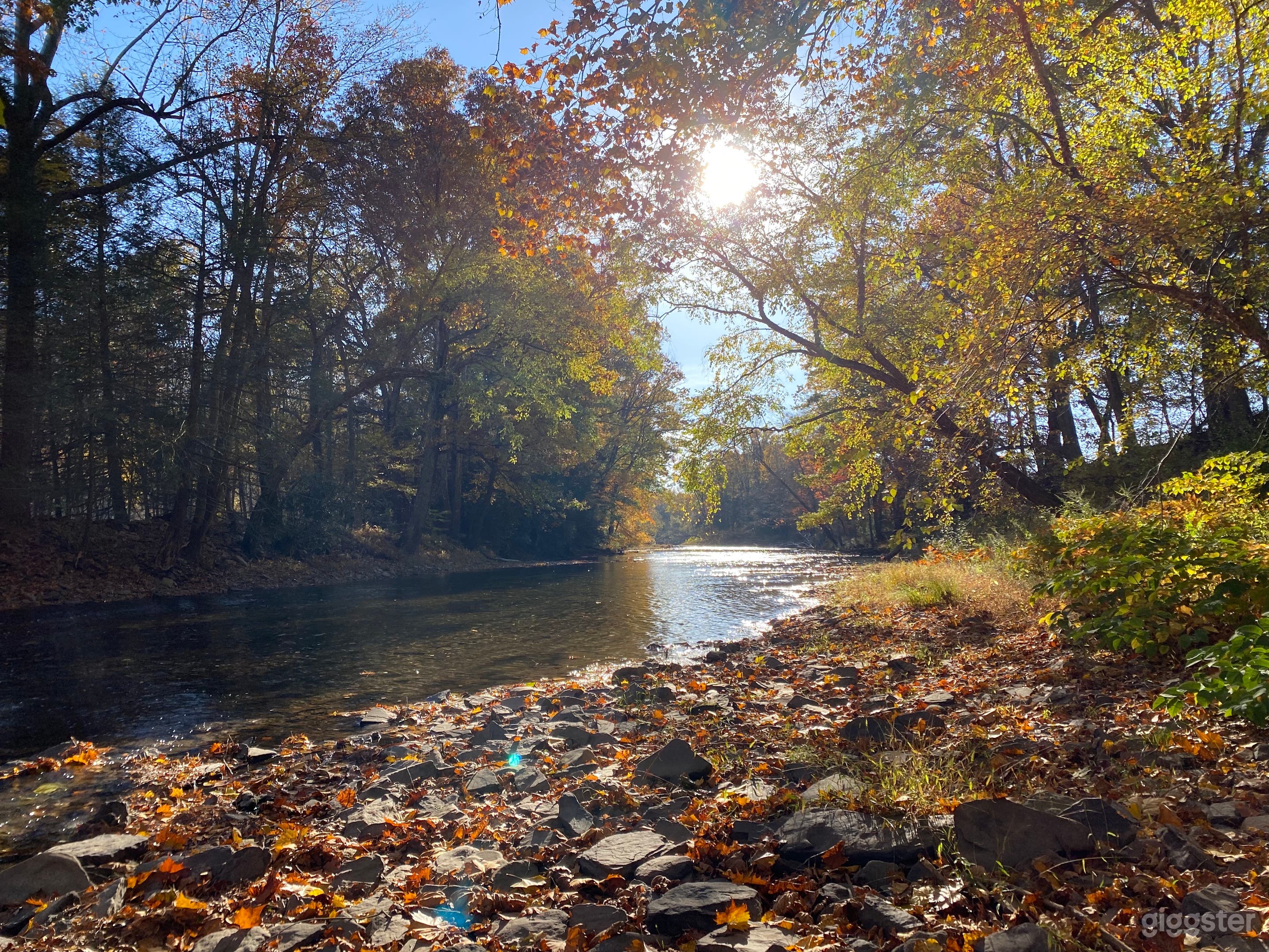 The Farm at Catawissa Creek Photo 3