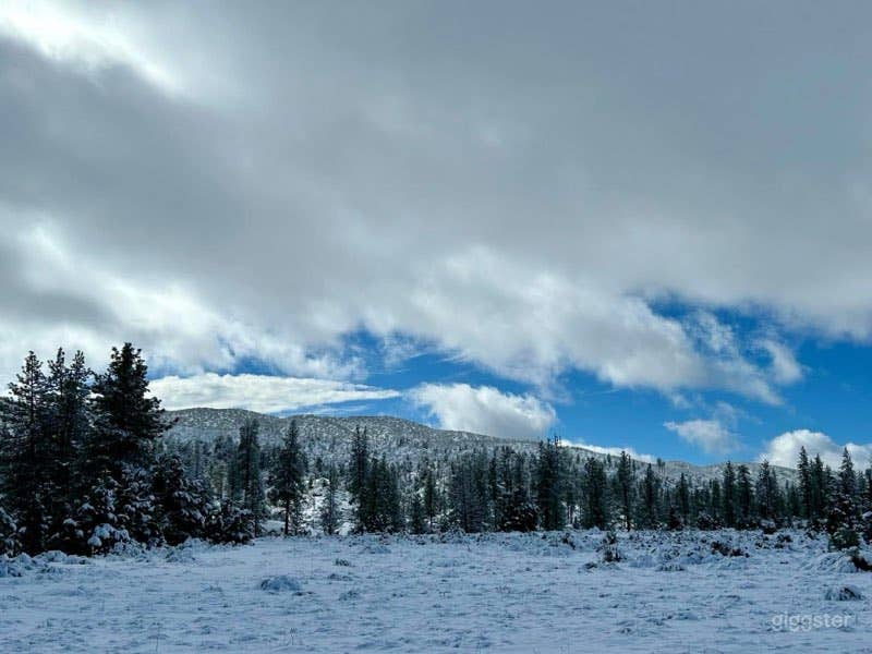 LOCKWOOD'S RANCH Photo 4