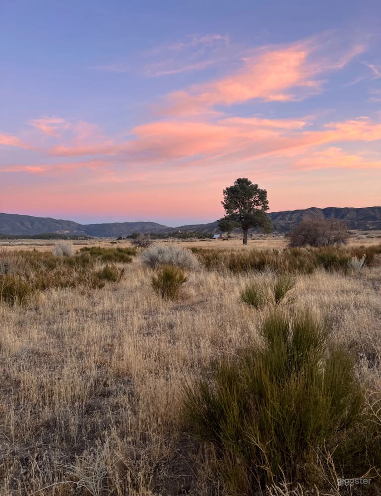  Rural Western Ranch on 40 acres w/ Airplane Hangar & horses 