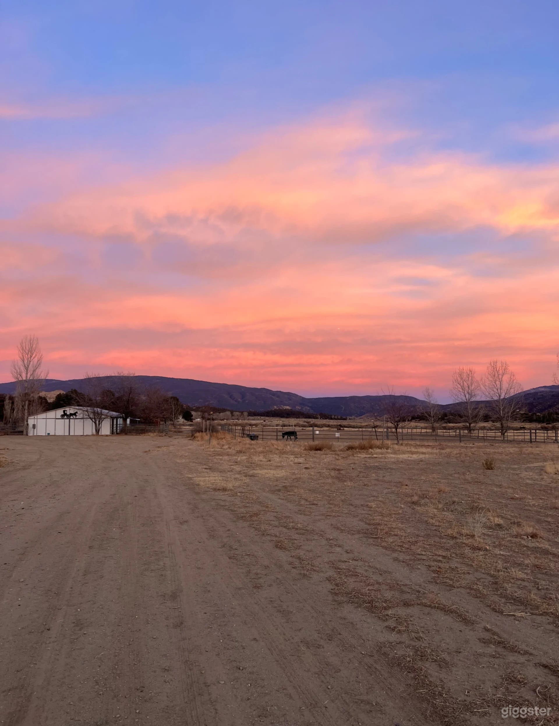 Rural Western Ranch on 40 acres w/ Airplane &amp; horses Photo 3