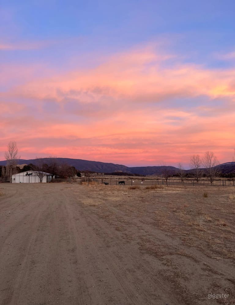  Rural Western Ranch on 40 acres w/ Airplane Hangar & horses 