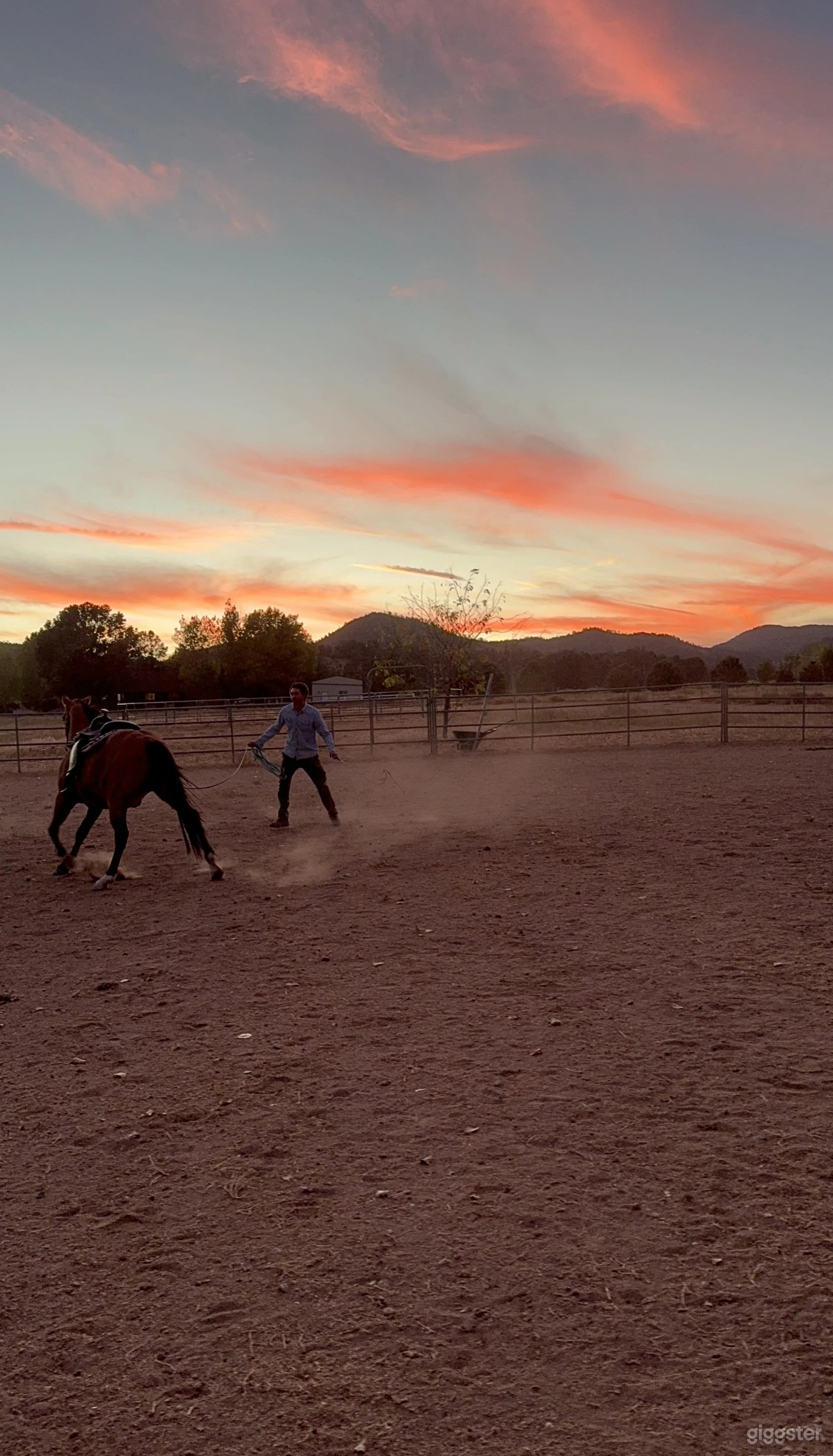 Rural Western Ranch on 40 acres w/ Airplane &amp; horses Photo 4