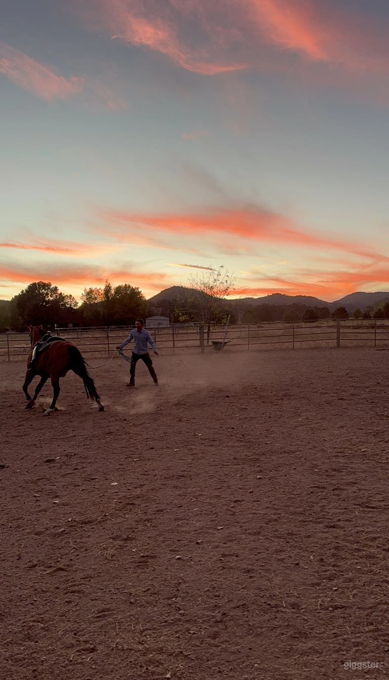  Rural Western Ranch on 40 acres w/ Airplane Hangar & horses 