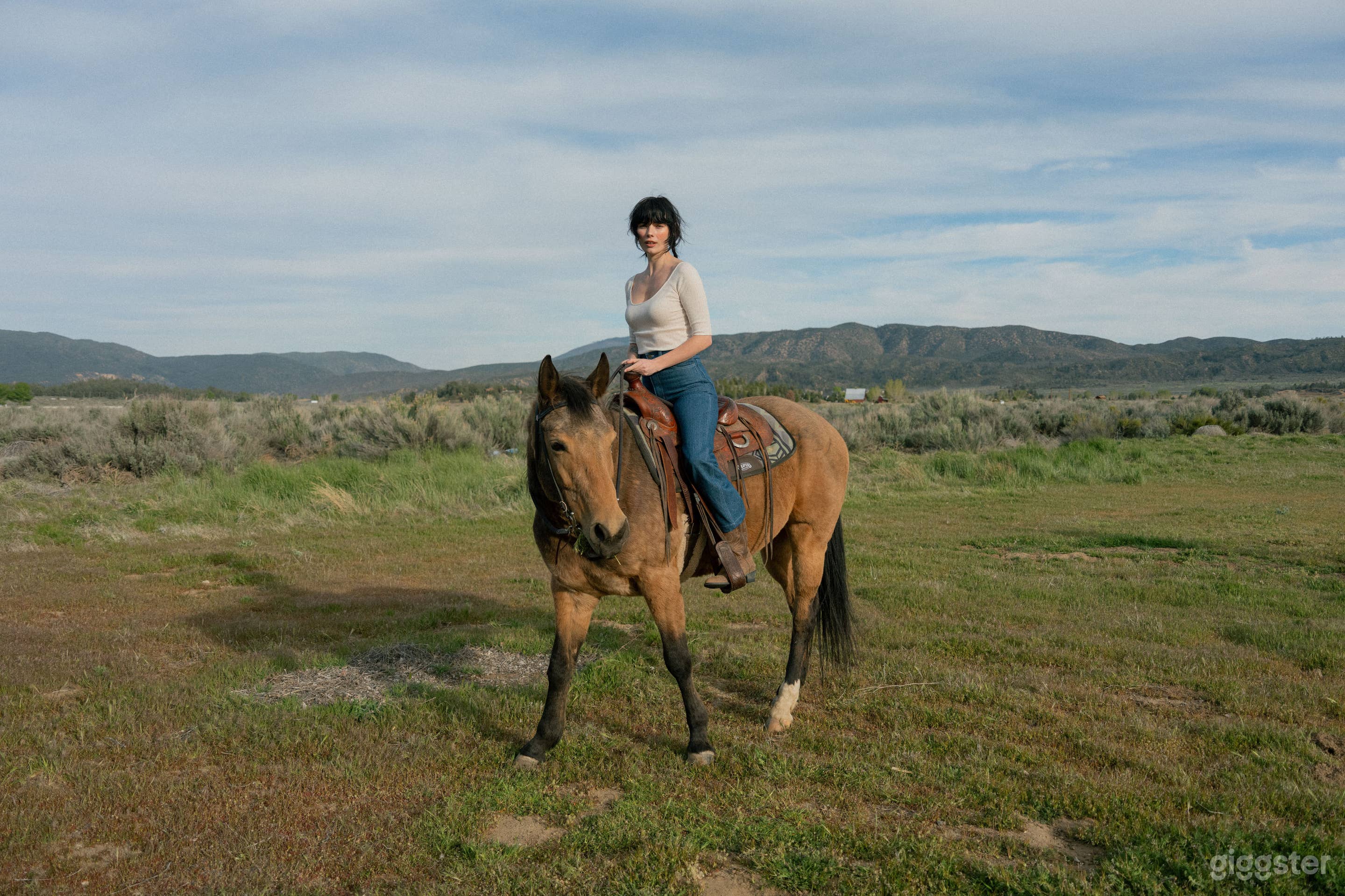Rural Western Ranch on 40 acres w/ Airplane & horses Photo 3
