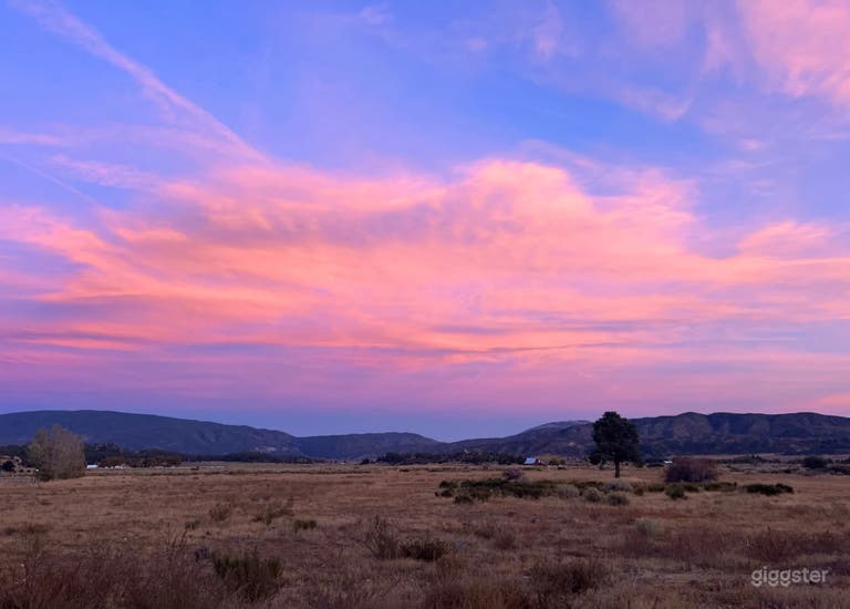  Rural Western Ranch on 40 acres w/ Airplane Hangar & horses 