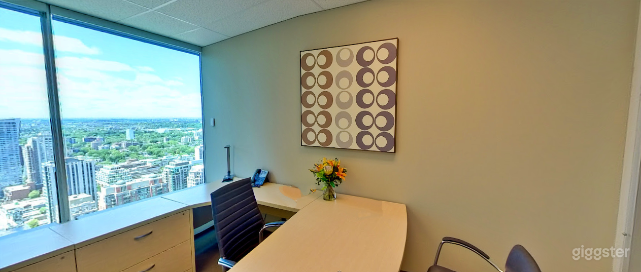 Window offices for Meetings &amp; Interviews Photo 4