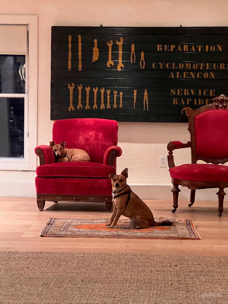  Back Office Meeting / Gallery Space 