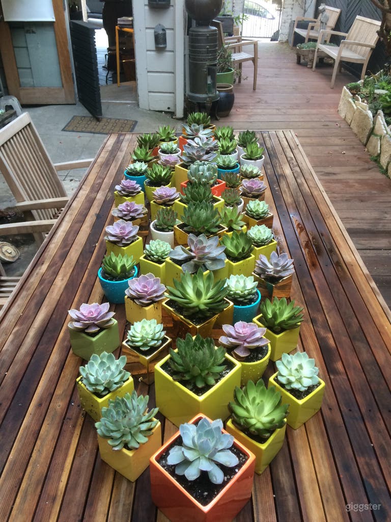  Worktable in garden area.  