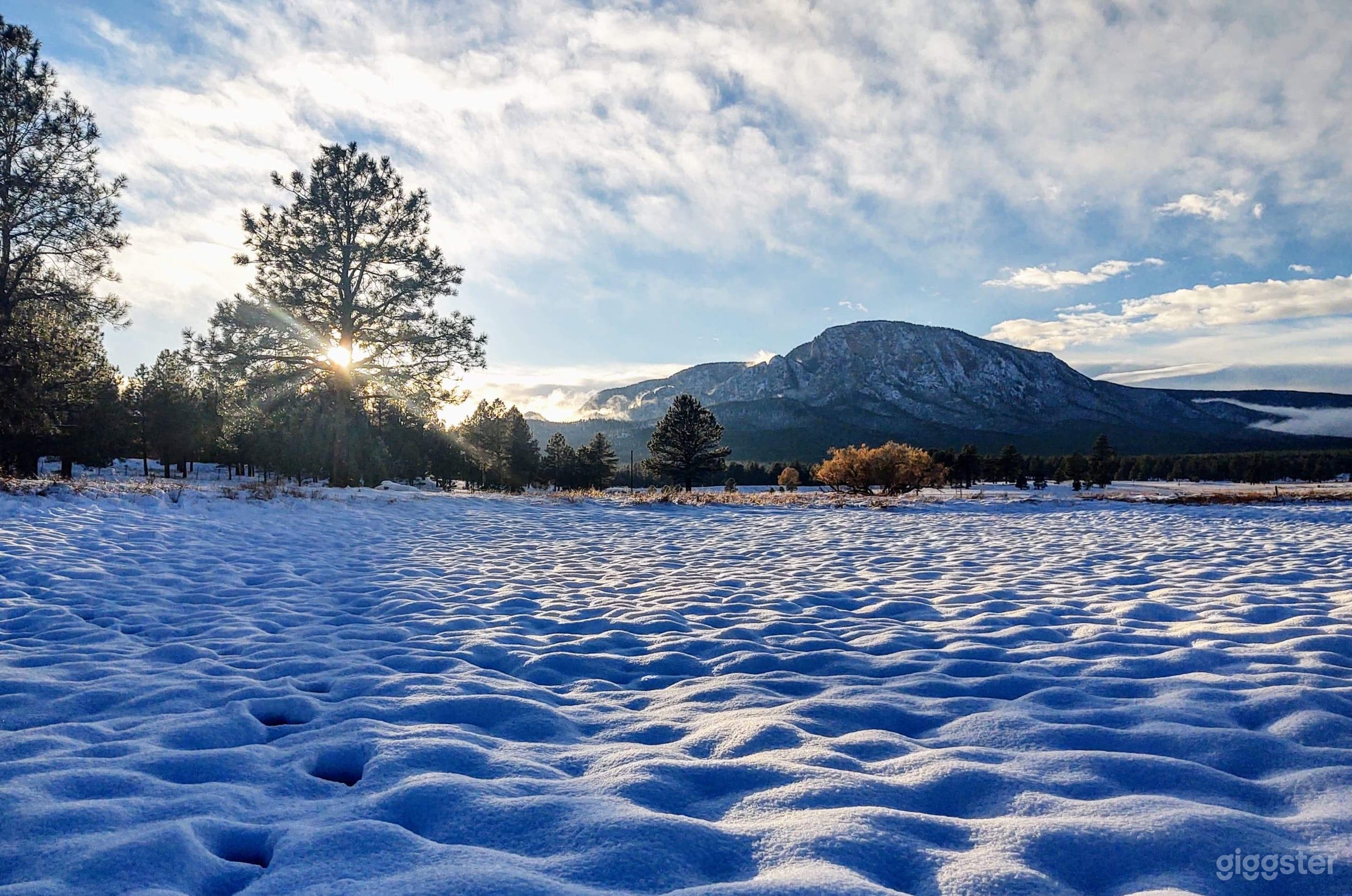 Aframe hunting ranch  Photo 4