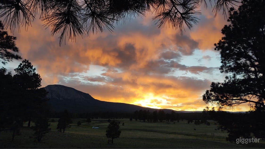 Aframe hunting ranch  Photo 1