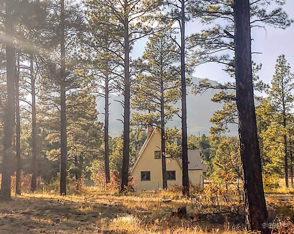 Aframe hunting ranch  Photo 2