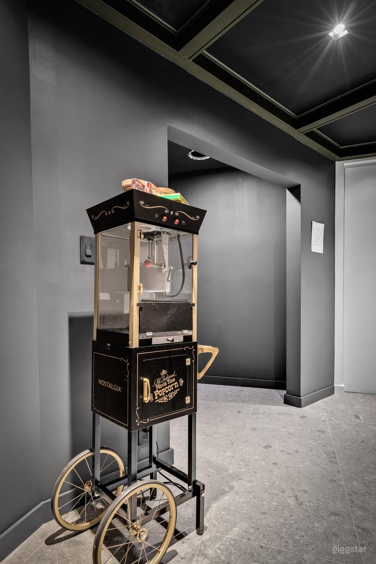  Theater Room at Fort Lauderdale 