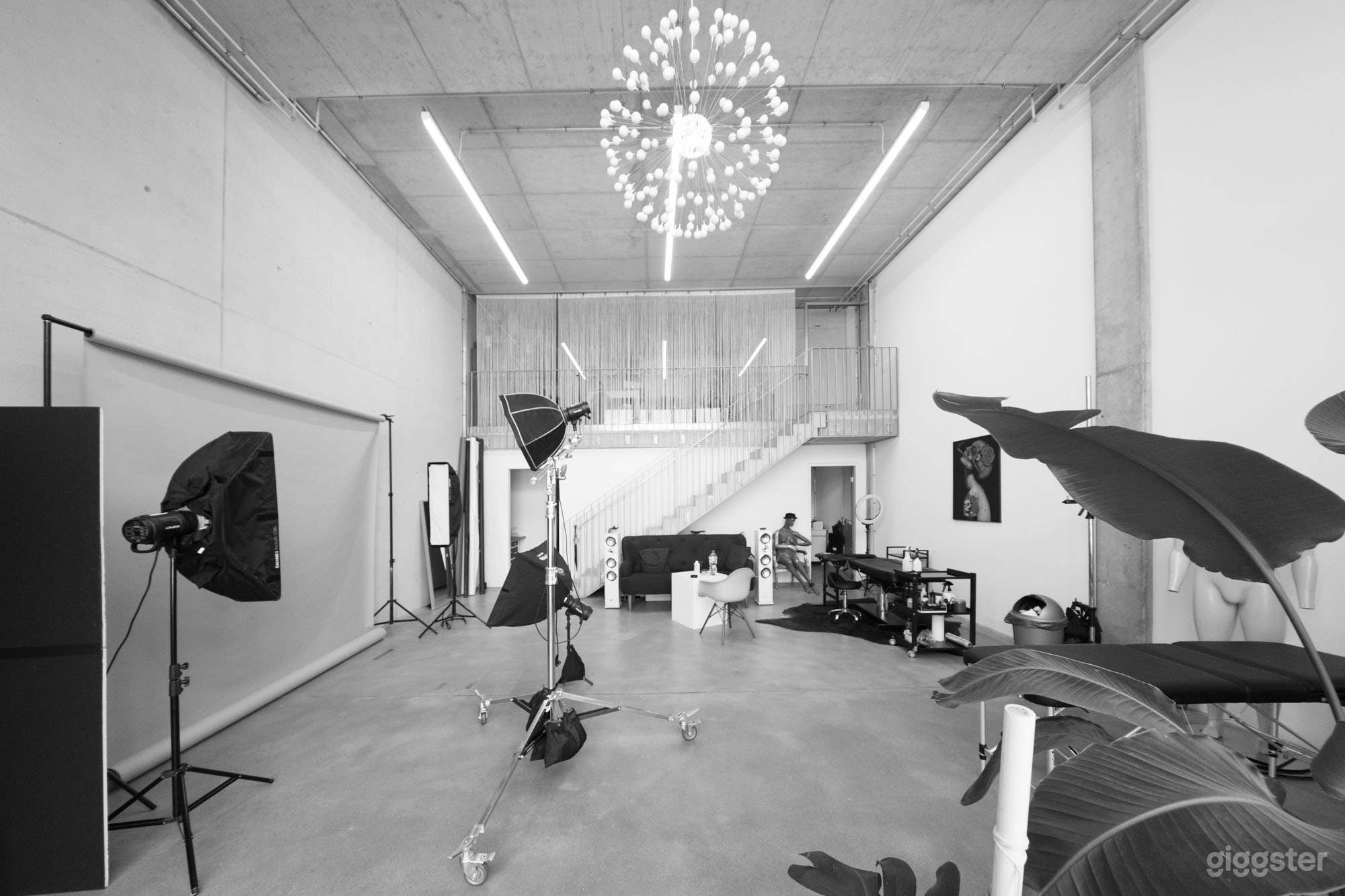 Fotostudio & Loft: Hohe Decken & fantastisches Tageslicht Foto 2