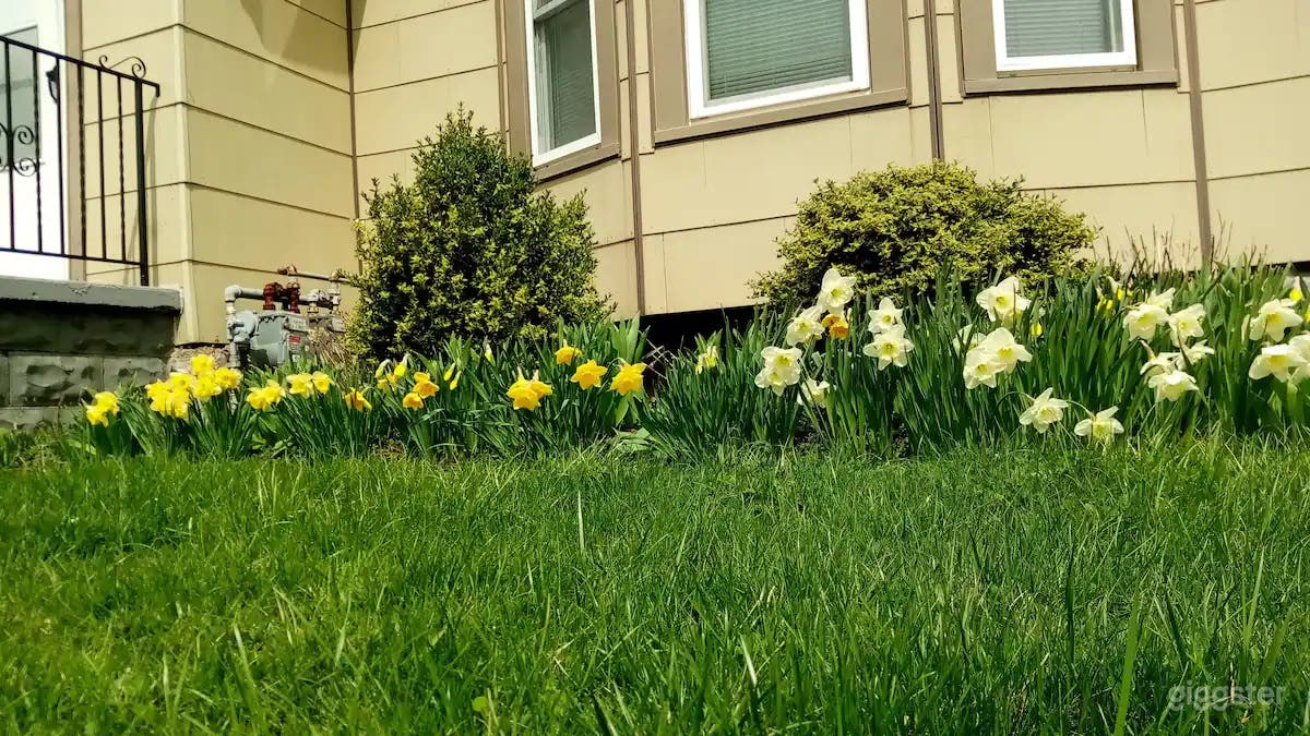 Awesome Apartment in North Buffalo Photo 2