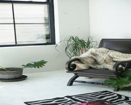  Sunlight Soaked Matchbox Studio 