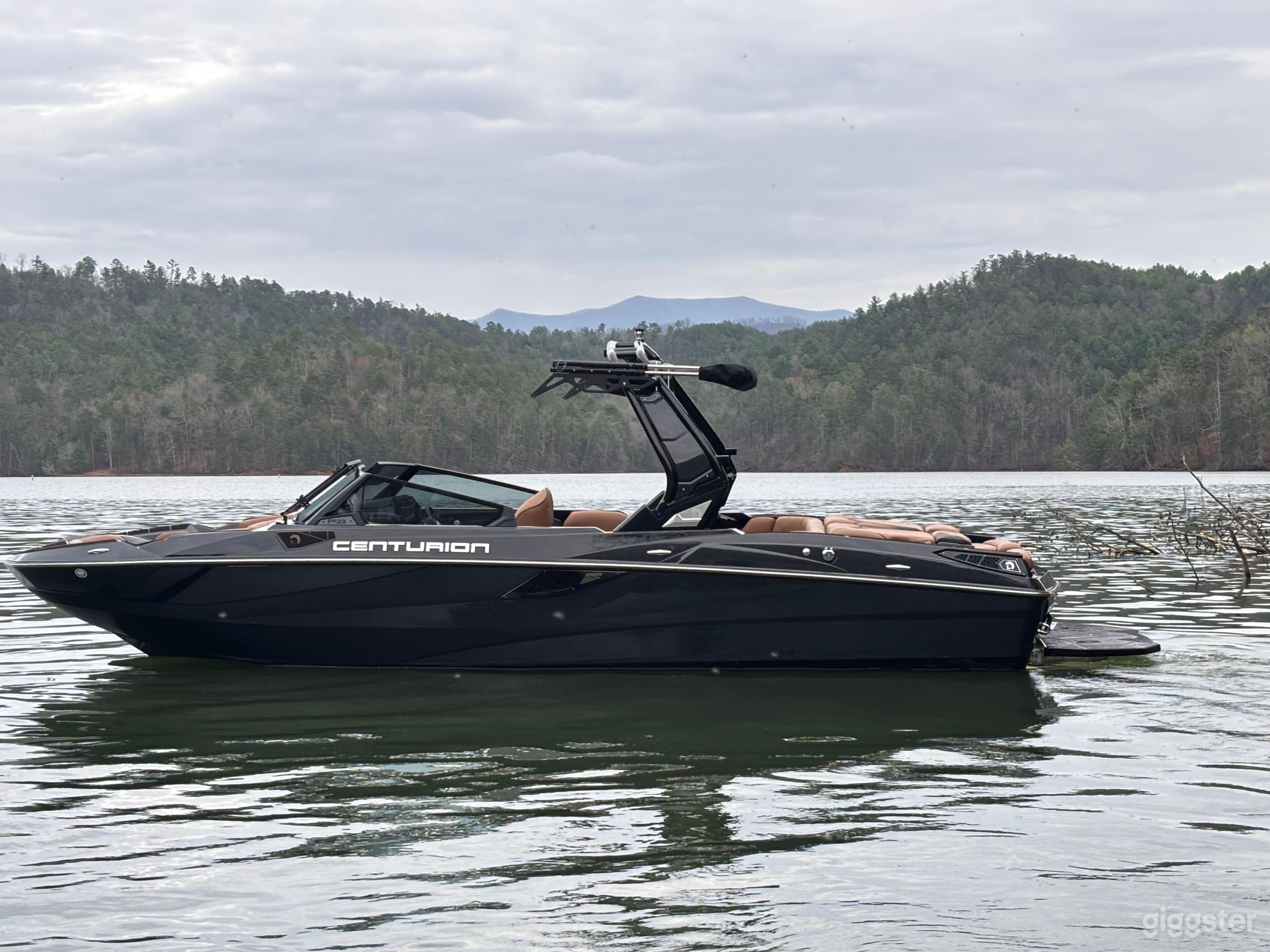 Luxury Surf Boat (Captained) | Photo + Video + Lake Day Photo 1