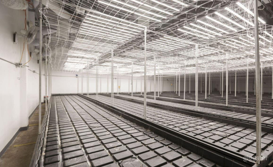 Fully Functioning Grow-room Photo 2