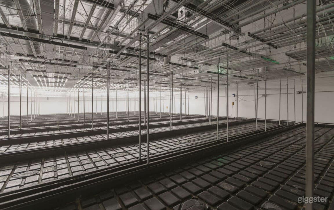 Fully Functioning Grow-room Photo 3