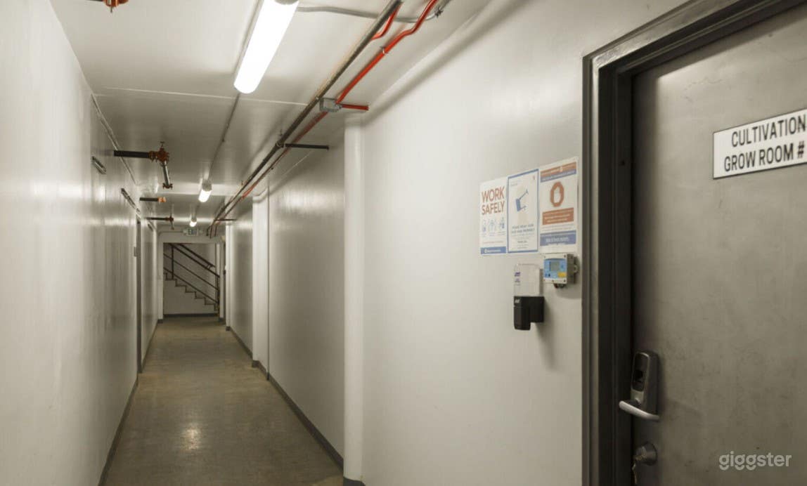 Fully Functioning Grow-room Photo 4