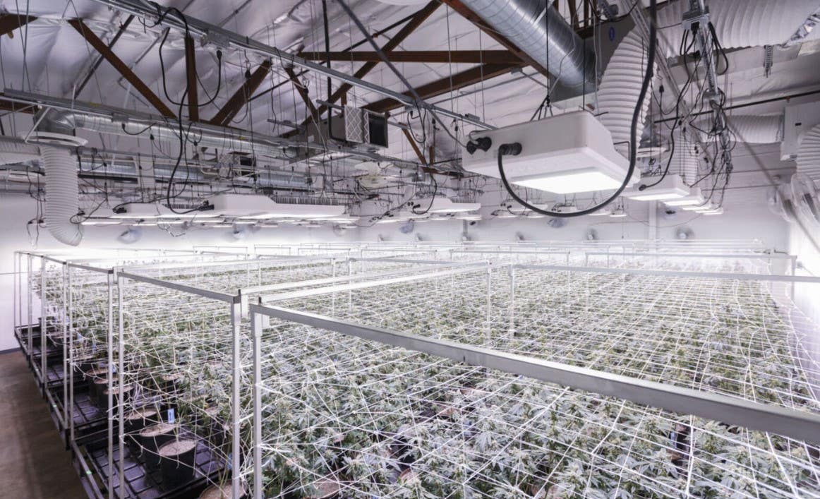 Fully Functioning Grow-room Photo 1