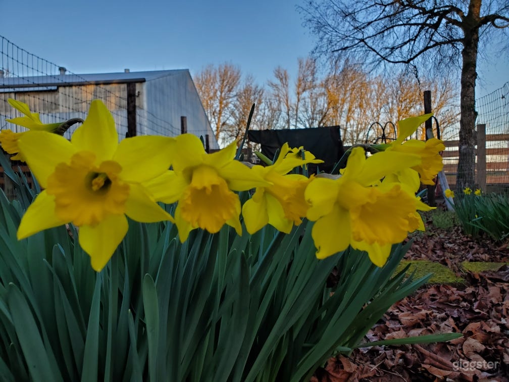 Farm Stay and Stable in Wine Country  Photo 4