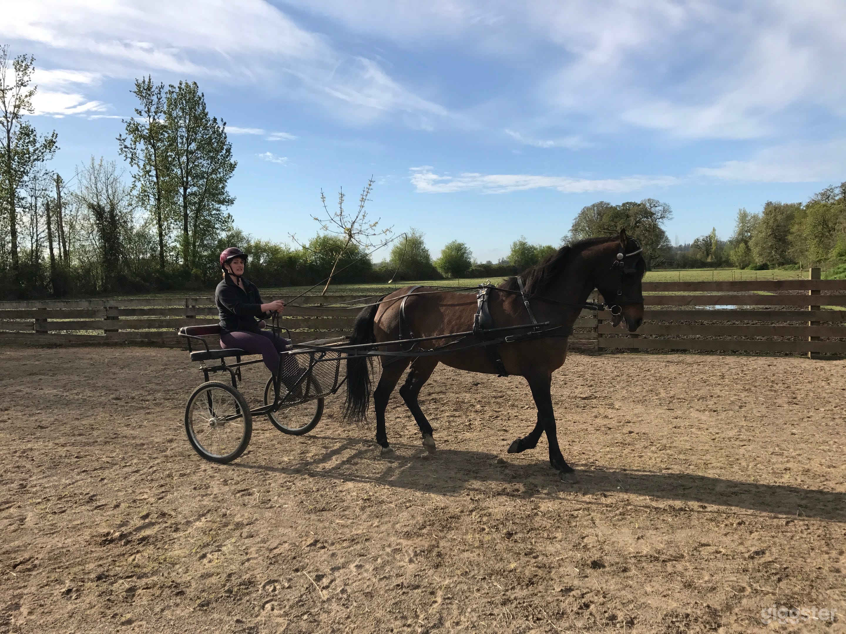 Farm Stay and Stable in Wine Country  Photo 3