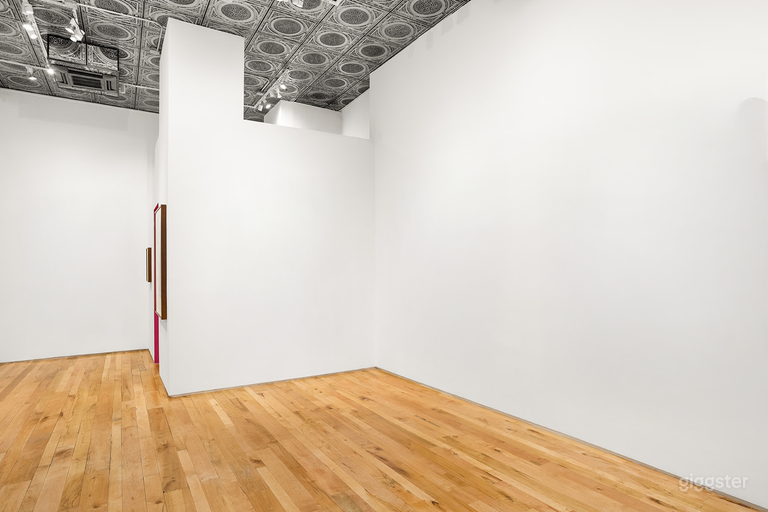  Light-filled Art Gallery in the Heart of Tribeca 