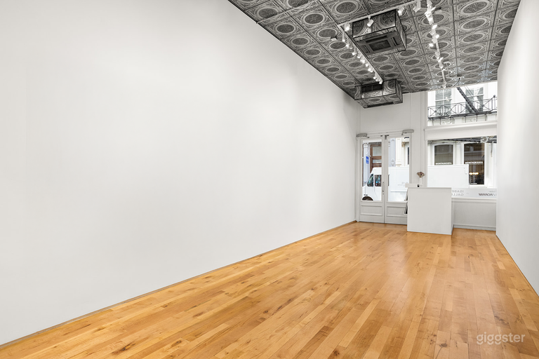  Light-filled Art Gallery in the Heart of Tribeca 
