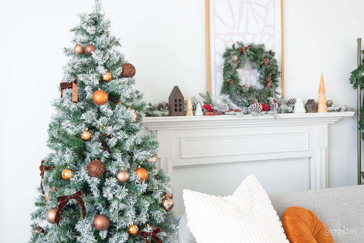 Christmas Decor, Modern Photo Studio Mississauga Photo 2