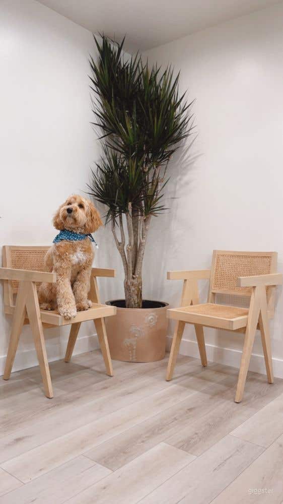 Newly renovated Dental Office in Santa Monica Photo 2