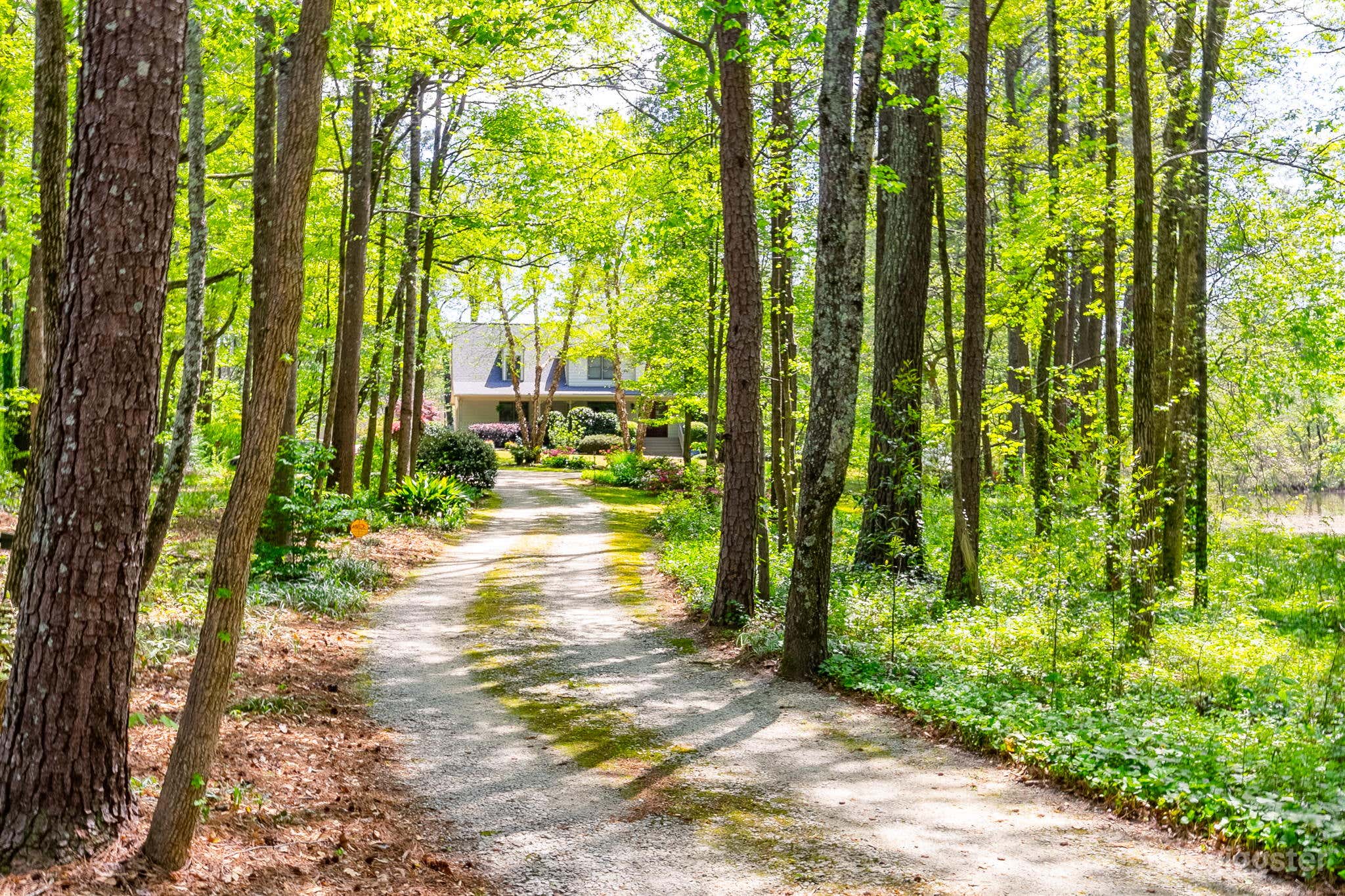 Long driveway entrance