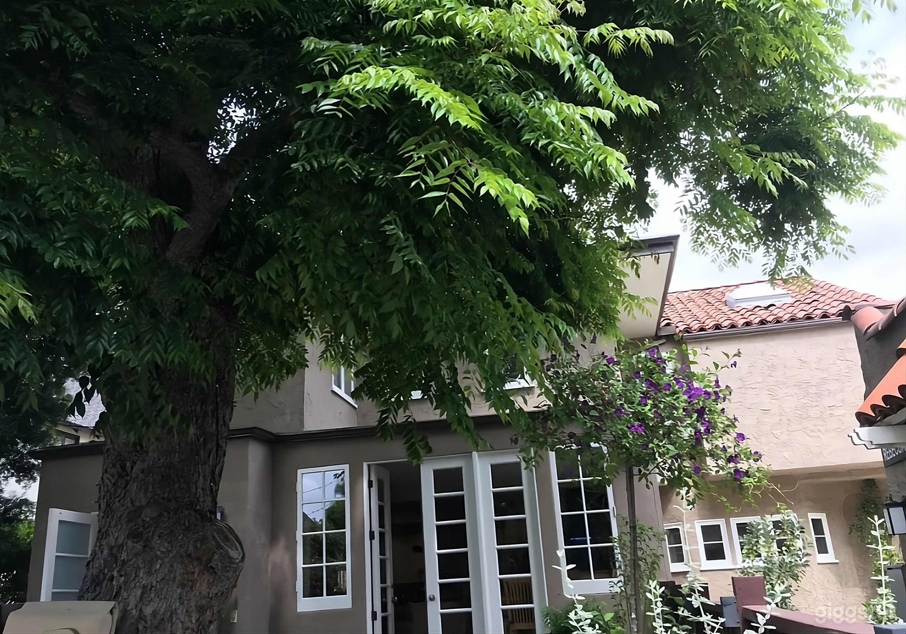 Stunning Mediterranean Backyard with Pool Photo 2