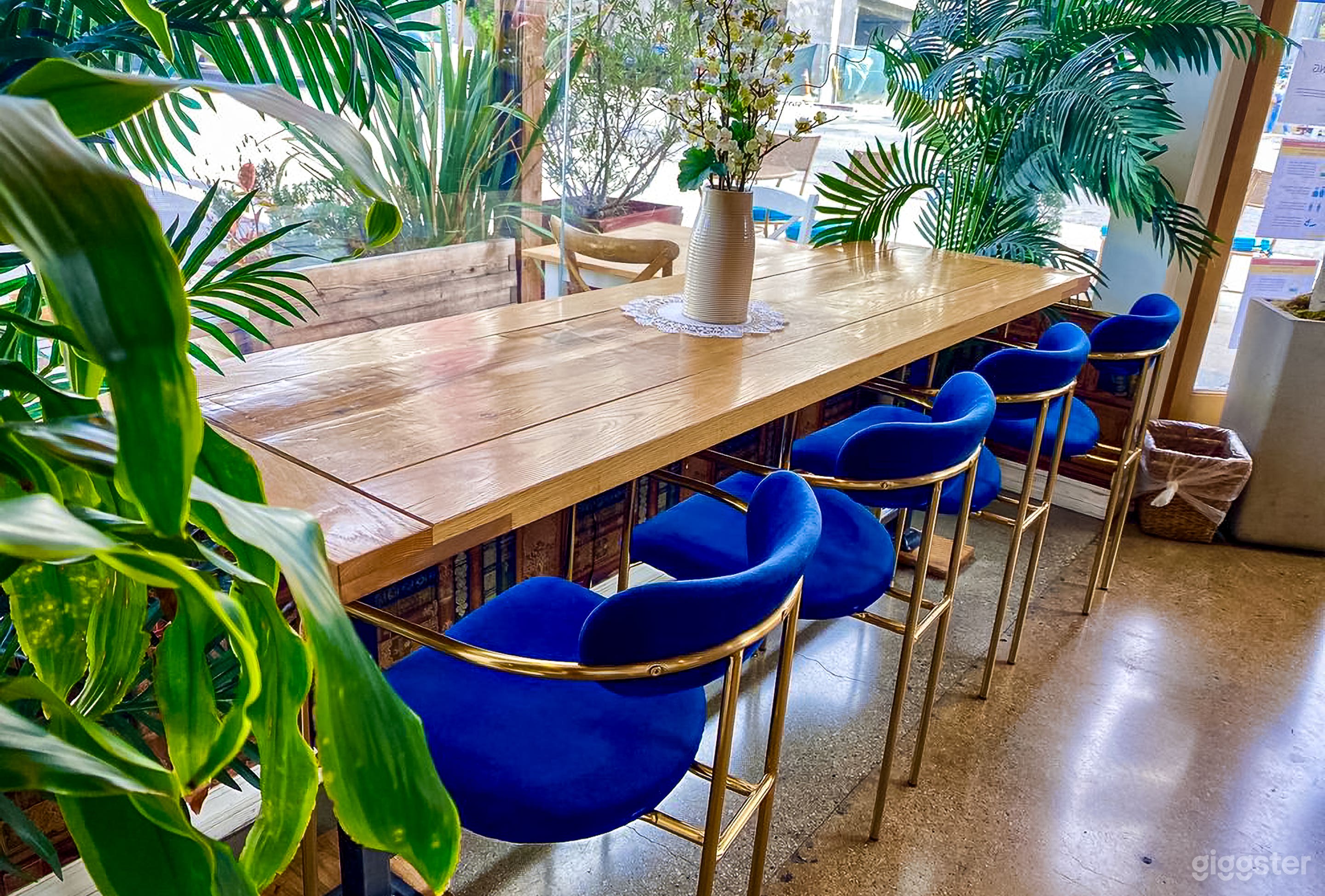 Bohemian & Modern Plant-Based Café in Beverlywood Photo 4