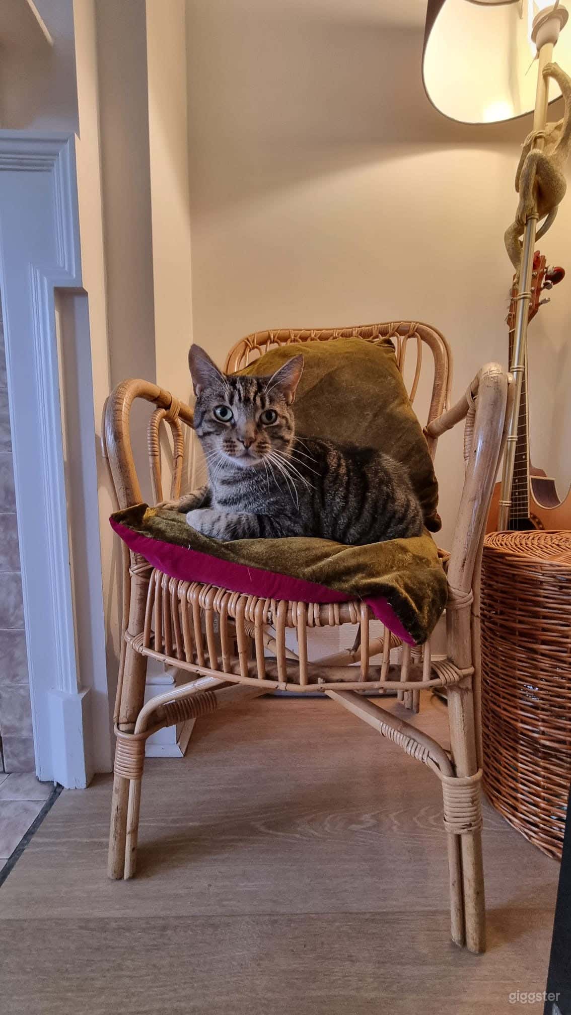 Modern Bright Family Home, East London Photo 2